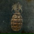 SVORA