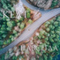 KEAT
