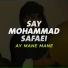 Say Mohammad Safaei
