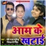 Ravi Raj Surendra, Shivani Singh