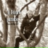 cj foxufo