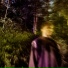trip notic