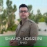 Shaho Hosseini