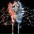 Veisman
