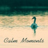 Sounds of Nature Relaxation