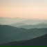 Chill Beats, Lazy Tree Records