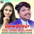 Luqman Meher, Maham Shahzadi