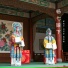 郎选平, 白玉全, 强金香