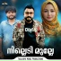 Nisar Wayanad