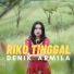 Denik Armila