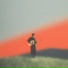 August Field Recordings