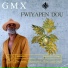 Guy Marc Vadeleux GMX feat. Malik Duranty
