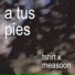 TSHRT, Measoon
