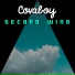 Covaboy