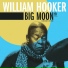 William Hooker