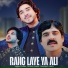 Akram Faridi, Sajjad Faridi, Shahbaz Faridi