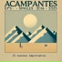 Acampantes