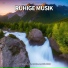 Lernmusik, Entspannungsmusik, Schlafmusik