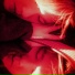 SLAPKISS