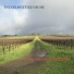 Napa Valley Ramblers