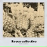 Reyes collective
