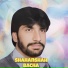 Shahanshah Bacha