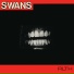 Swans