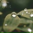 Spirit