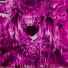 ScaRe666CroW, FRXNCK MXLLER
