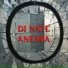 DJ Nate