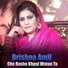 Brishna Amil