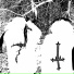 $4pphire G4ng, witheredead