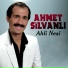 Ahmet Silvanlı