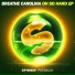 Breathe Carolina, Wasback