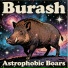 Burash