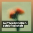 Musik zum Lernen
