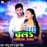 Sonu Raj, Pooja Singh