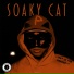 Soaky Cat