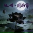 周雨霏