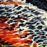 PhoenixRising