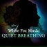 White Fox Music