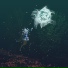 ayo tsuki