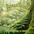Bonaflaira