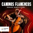 Renaud Garcia-Fons
