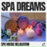 Spa Music Relaxation Meditation