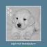 Relaxing Dog Music