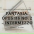 Victorino Victomous Instrumental, Johannes Brahms