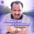 Akram Rahi