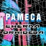 Pameca