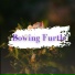 Bowing Furtle
